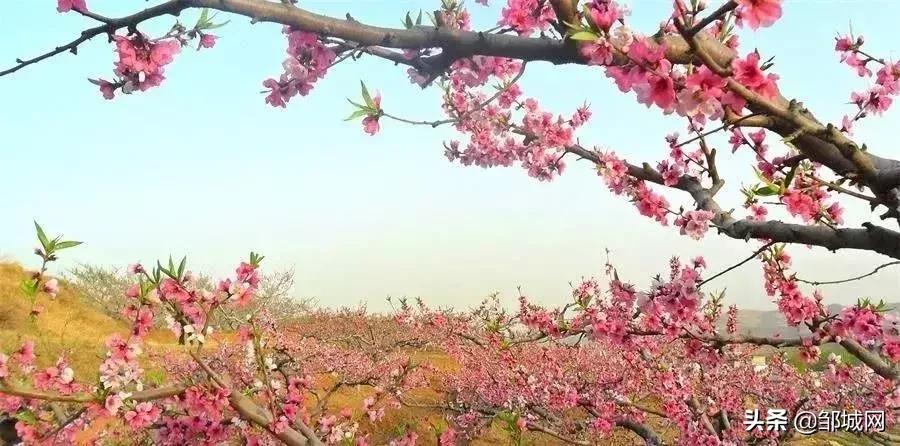 邹城二手房最新动态，探索自然美景的旅程，寻找内心宁静的居所