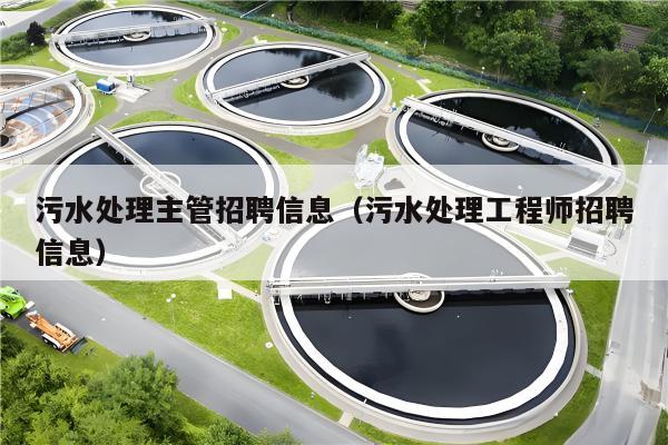 污水处理招聘最新动态，绿色之旅寻找内心平静的专家