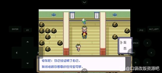 口袋图鉴最新版，使用指南与操作概述
