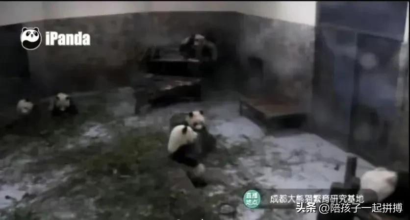 第135页