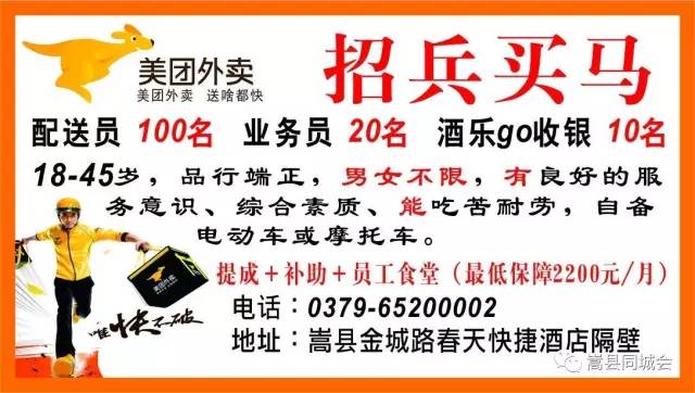 嵩县招聘网最新招聘信息及求职步骤指南