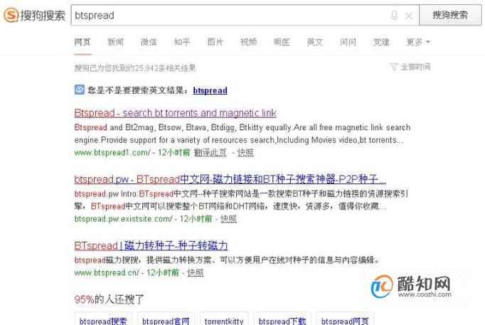 最新BT种子获取与使用指南，从初学者到进阶用户的完整教程