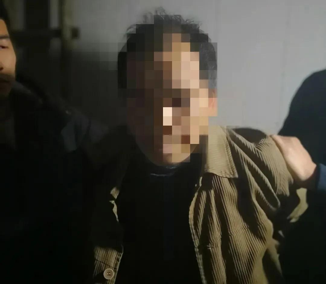 义乌最新命案，深度剖析与观点阐述