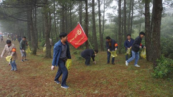 林业政策最新动态，绿色发展的新浪潮来袭