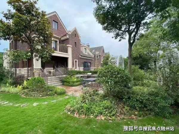 上海最新司机招聘，深度解析与观点论述