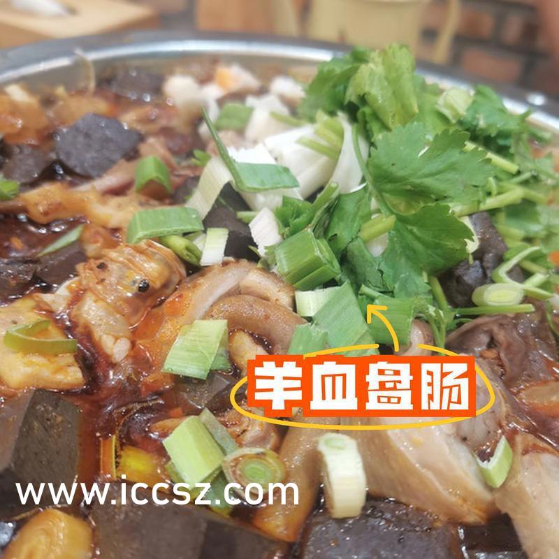 朴妮唛最新视频，潮流引领者与时代音符的碰撞