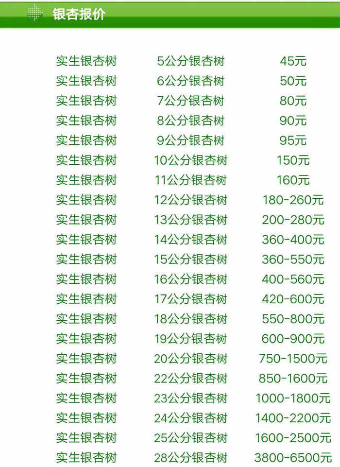 银杏树最新价格概览，市场走势、购买指南全解析