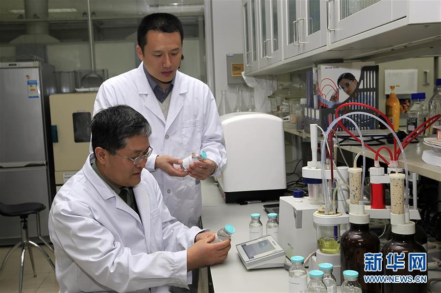 中国流感最新动态，积极应对变化，学习铸就未来