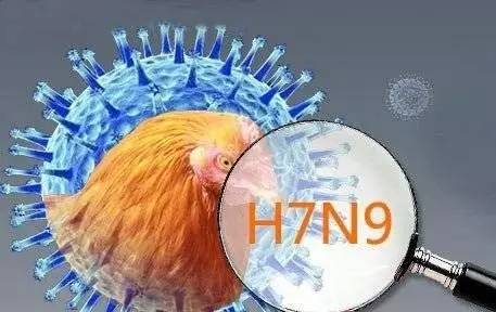 H7N9流感最新动态，观点阐述与深度分析