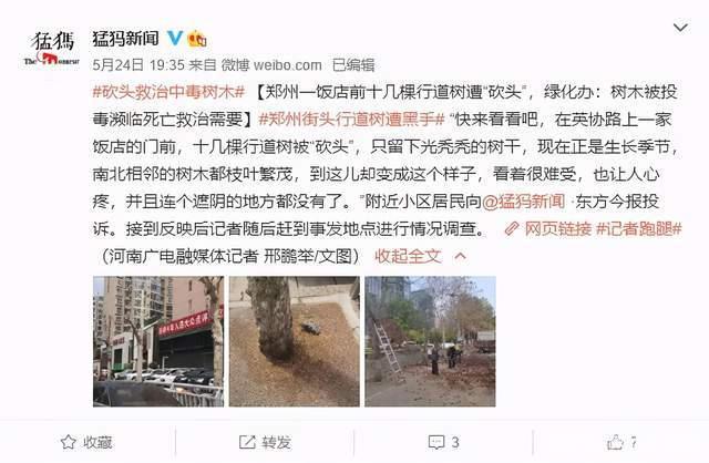 民诉最新背景下巷弄深处小店的奇妙故事