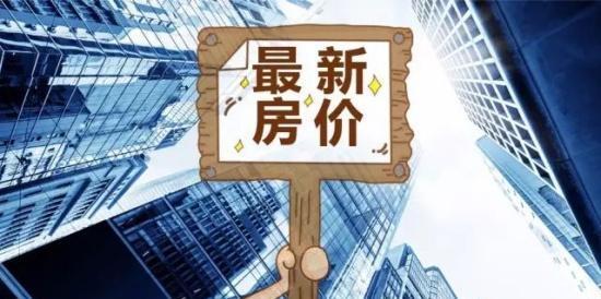 宅宅最新伦，深度解读一种现象
