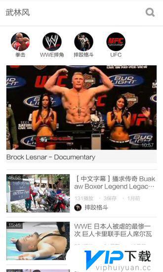 最新武林风视频，观看与学习指南揭秘武林风采