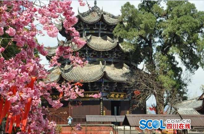 西昌地震最新动态，多方观点分析与个人立场阐述