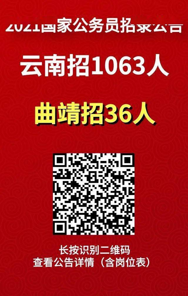 曲靖招聘网最新招聘信息深度解析