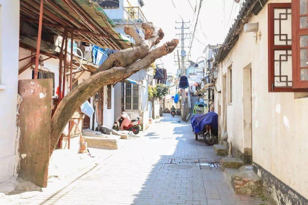 清流县旅游局 第10页