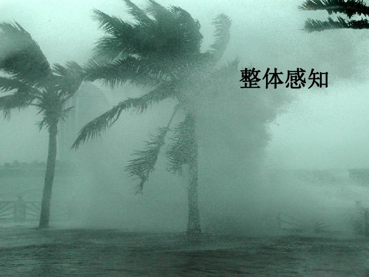 最新台风纳沙，科技巨浪下的生活新纪元挑战