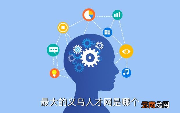 义乌人才网最新招聘多维度视角下的探讨与解读