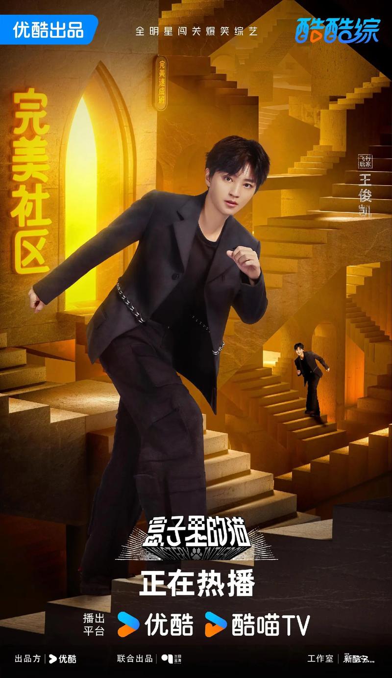 王俊凯最新综艺节目，观看与参与全攻略