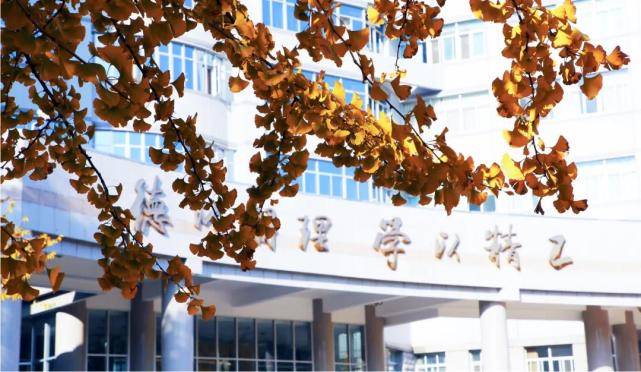 北京最新进出政策解读，拥抱自然，启程寻找内心宁静之旅