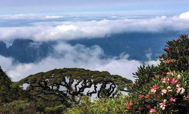 探索自然美景的轻松之旅，道道通最新，寻找内心的平和静谧之旅