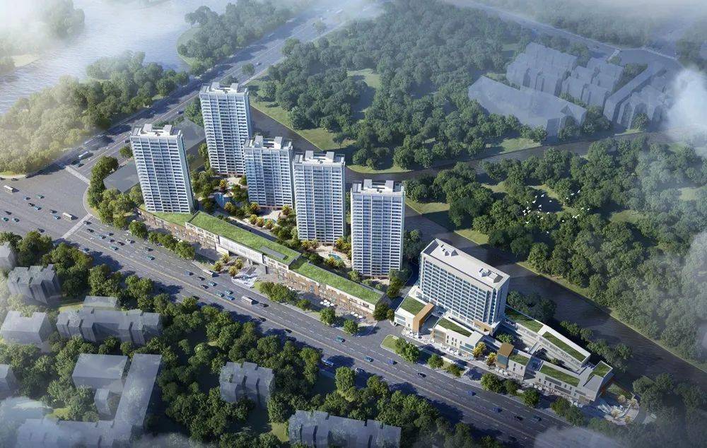 翡翠最新动态与行业热点分析，市场趋势深度解读