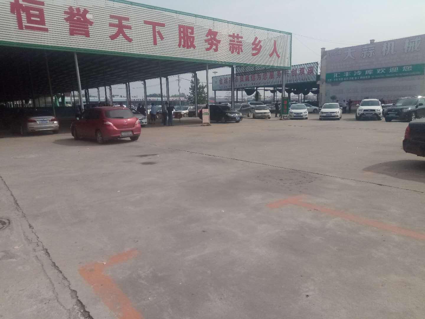 山东金乡大蒜最新价格与大蒜情缘的温馨故事