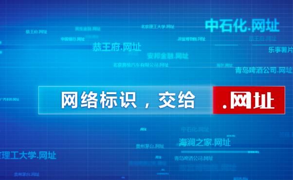 追风最新版本使用指南，从初学者到进阶用户的全面教程
