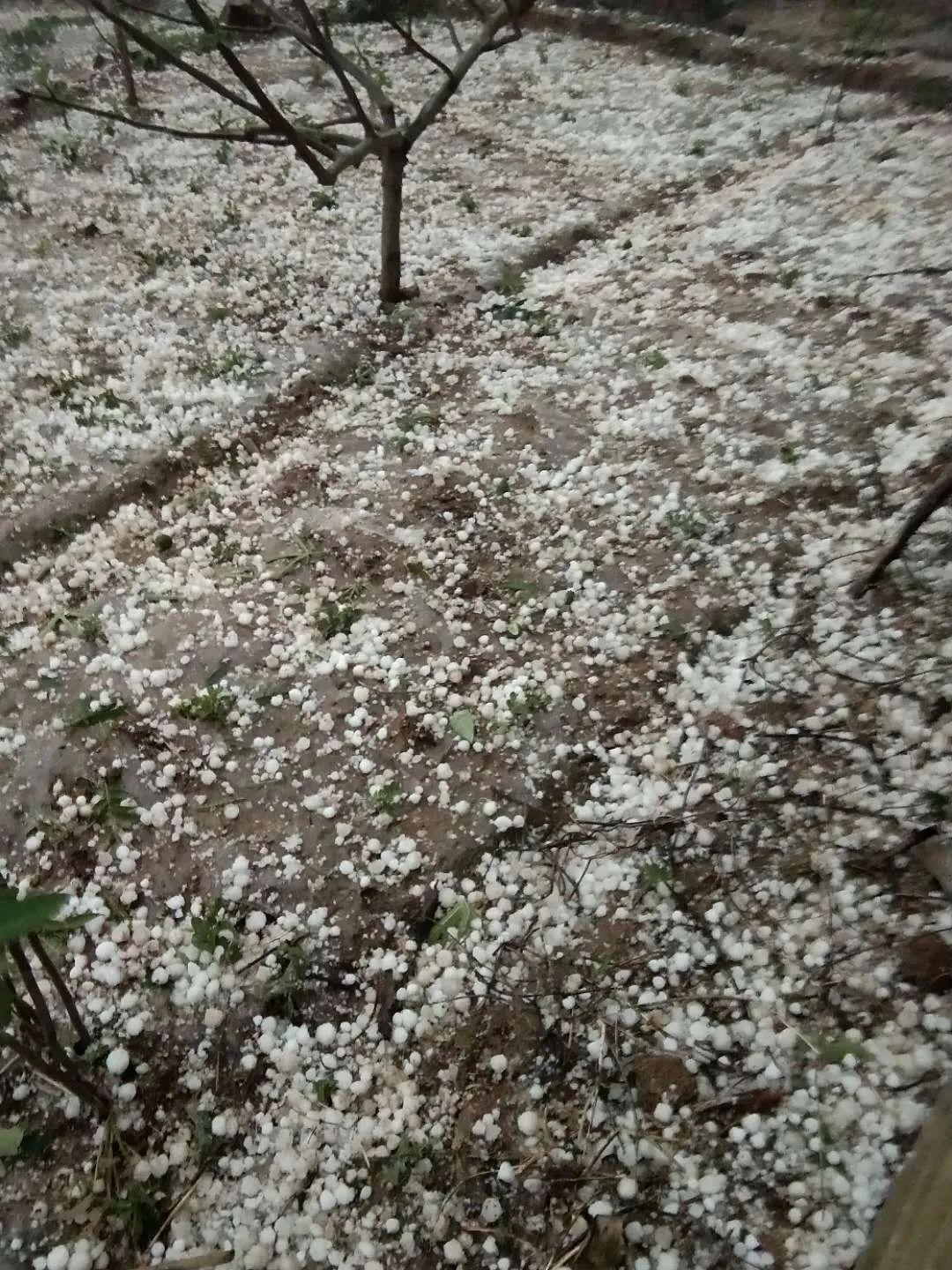 济南市天气预报最新更新🌦️