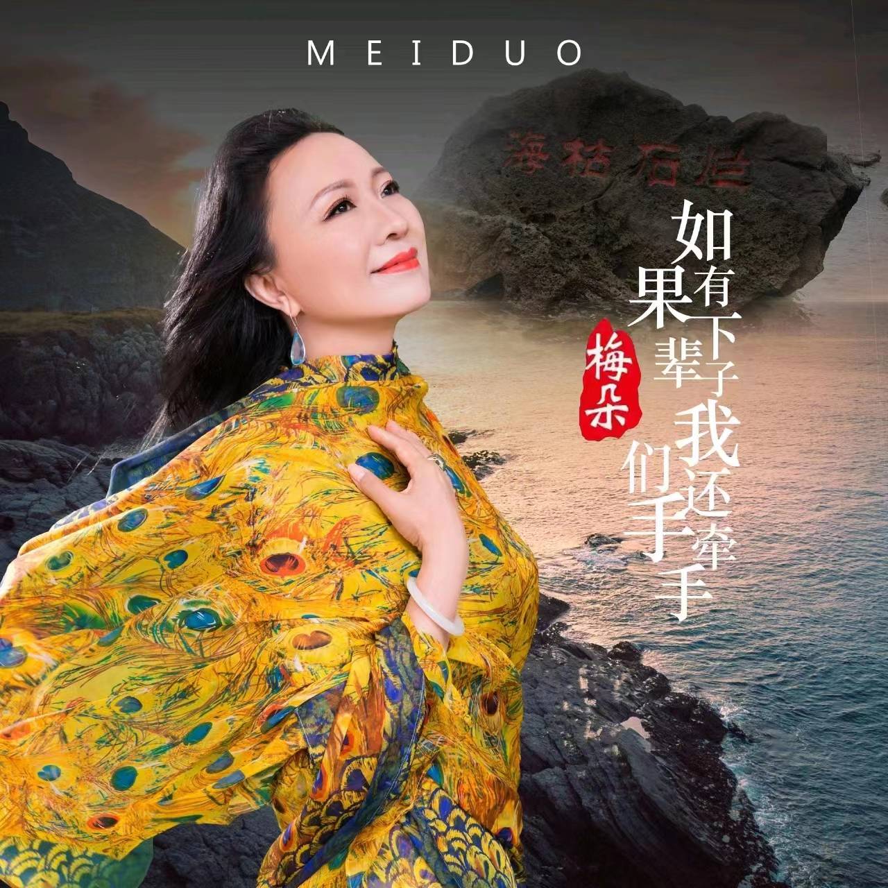 梅朵最新歌曲，情感满溢的音乐新纪元