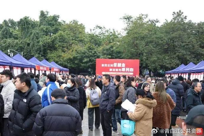 青白江工业区最新招聘，时代的脉搏与工业的蓬勃生机