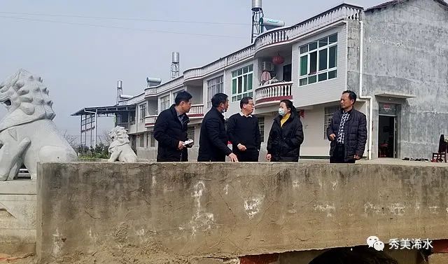 浠水县散花镇，巷弄深处的独特小店最新消息