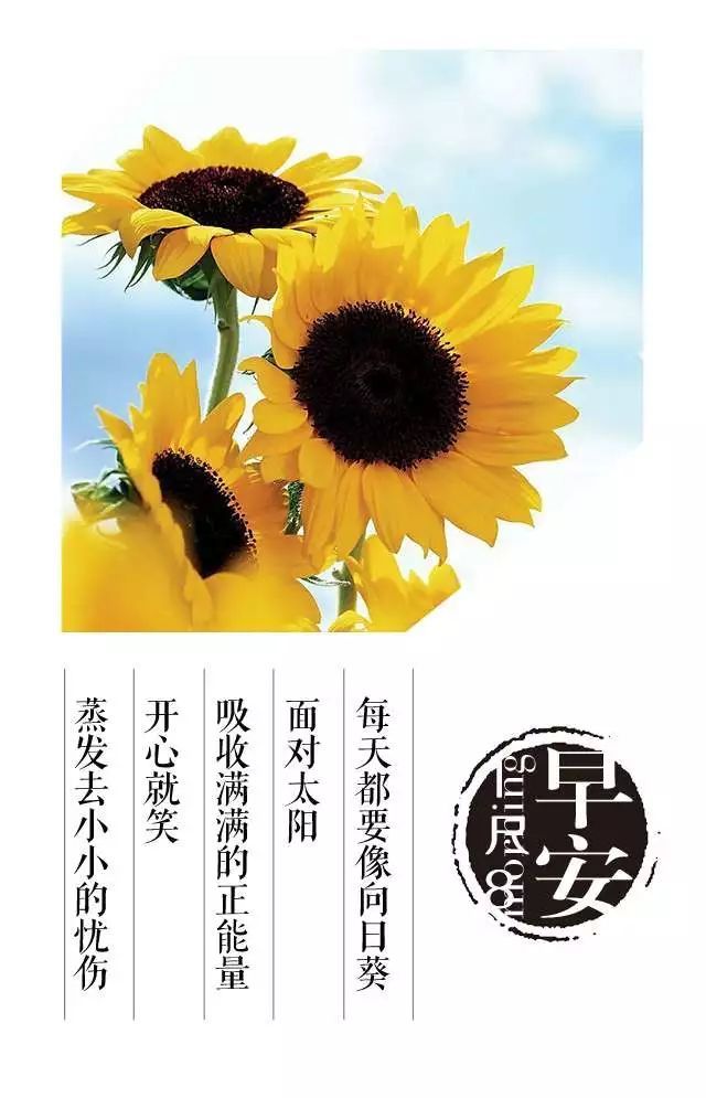 清流县旅游局 第48页