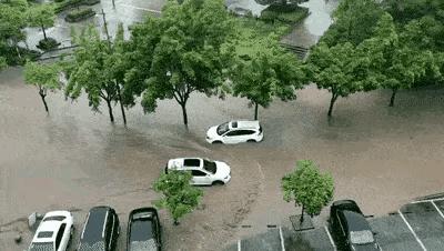 郑州地铁11号线最新动态揭秘