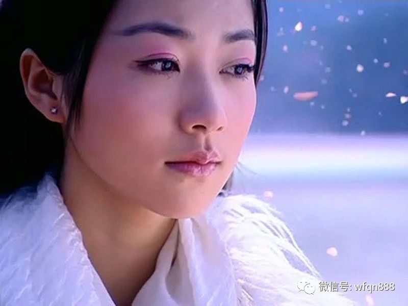 福艳之都市后宫韩雪最新章,福艳之都市后宫韩雪最新章，日常温馨趣事