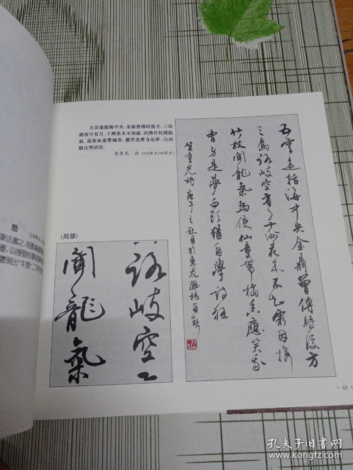 书法家杨再春最新作品赏析及展示