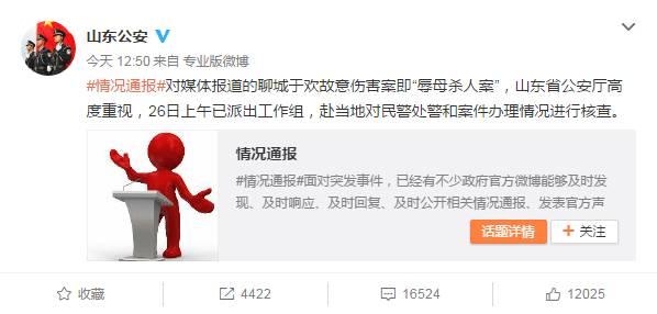 山东杀人辱母案最新进展，了解案件更新与步骤指南（全解析）