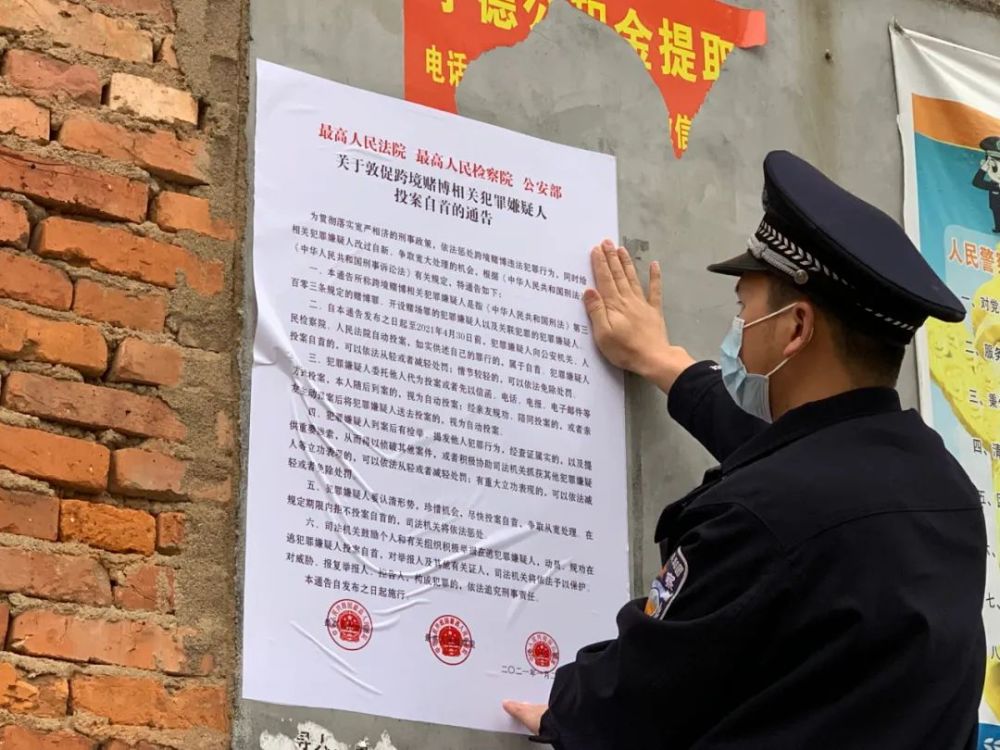 苏州市招聘网最新科技岗位招聘，梦想起航！