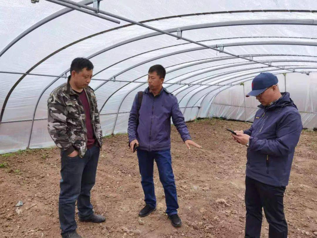 长青树众筹最新动态，学习成长中的自信与成就感之树