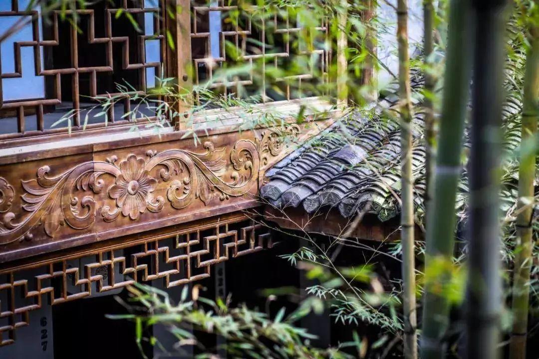 教育局最新动态揭秘，自然美景之旅的呼唤