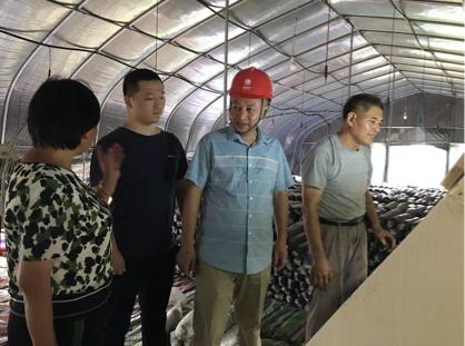 陈瑶湖与汪朝龙的最新新闻报道，探寻最新动态与事件揭秘